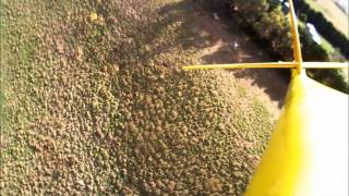 Wedge Tailed Eagle attacking RC Glider [upl. by Willin464]