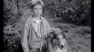 Lassie  Episode 17  quotThe Runawaysquot Originally broadcast 01021955 [upl. by Rehptsirhc]