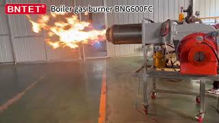 Gas burnerBoiler gas burnerNature gas burner [upl. by Layne]