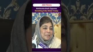 JK Politics Mehbooba Mufti Opposes Revisiting Indus Water Treaty [upl. by Yoreel]