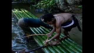 Bamboo Rafting  Royal Belum State Park [upl. by Nodnart614]