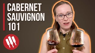 Best and Worst Cabernet Sauvignon Wines Under 25  Value Wines [upl. by Geraldine701]