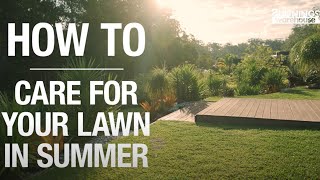 How To Care For Your Lawn In Summer  Bunnings Warehouse [upl. by Vinia]