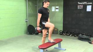 Free weight exercises  Dumbbell Step Up [upl. by Laehplar]