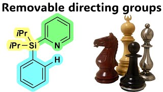 Removable and modifiable directing groups in CH activation [upl. by Anawqahs]