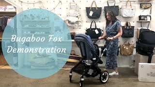 Bugaboo Fox Demonstration [upl. by Hallerson]