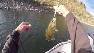 Fishing Prineville Reservoir end of summer 2024 [upl. by Auqenet]