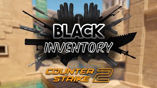 The BEST Black Inventory in CS2 [upl. by Standing343]