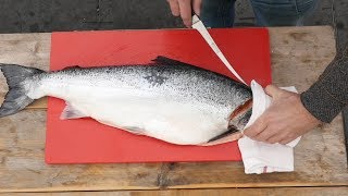 How To FILET a WHOLE SALMON   Easy to do [upl. by Philan]