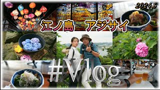 Vlog 2024年 初夏 江の島 あじさい 江の島小屋 [upl. by Nert]