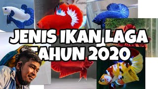 JENIS JENIS IKAN LAGA TAHUN 2020 [upl. by Anua]