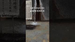 Walking in the Rain at Dogo OnsenHot Springs Japan  Binaural Rain and Umbrella Sounds  4k ASMR [upl. by Bette]