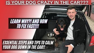 How to calm a crazy dog in the car [upl. by Atlee]