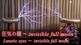 Lunatic Eyes  Invisible Full Moon  TESLA COIL MUSIC [upl. by Keraj345]