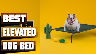 Best Elevated Dog Bed In 2024  Top 10 Elevated Dog Beds Review [upl. by Obeded361]