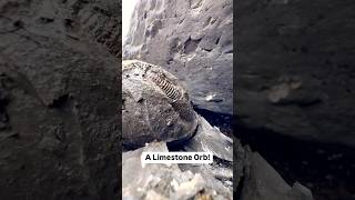 We Found A Fossil Inside A Limestone ORB [upl. by Gennaro]