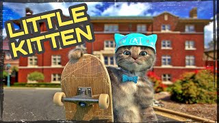 ROZPRAVKY PRE DETI PO SLOVENSKY o MACICKE  MACKA IDE DO SKOLY  LITTLE KITTEN PRESCHOOL GAME [upl. by Kally]