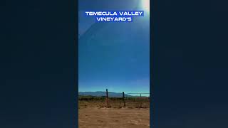 Temecula Valley Vineyards shorts [upl. by Karli958]