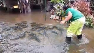 MGA ISDA SA BAHA BAGYONG PEPITO at KRISTINE Philippines Typhoon [upl. by Cornel]