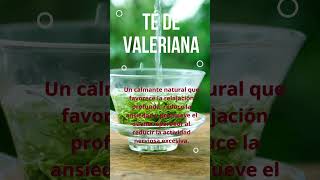 Secreto revelado Valeriana El Remedio Natural para el Estrés y el Insomnio 🌿☕🌙💤💚✨💫🌟 [upl. by Ginni]