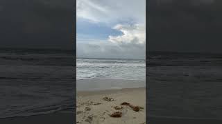 Hatteras Island beach in the morning [upl. by Eckblad40]