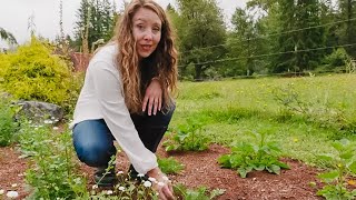 15 Medicinal Herbs and Their Uses for This Fall  Herb Garden Tour [upl. by Selec]