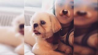 Maisie Williams Instagram Videos Compilation 2017 [upl. by Tamer]