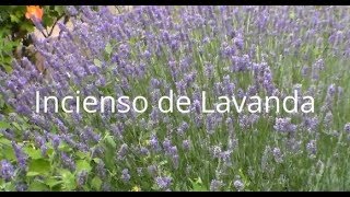 Cómo hacer INCIENSO de LAVANDA Tutorial [upl. by Xilef]