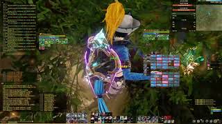 Archeage Healer Confessor PVP 251assistant [upl. by Roshan554]