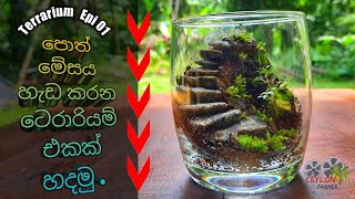 How i made this Terrarium  DIY easy way Terrarium epi 1 [upl. by Ynatsyd]