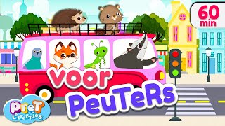 Voertuigen Dierengeluiden Boerderijdieren amp meer Pretlettertjes Kinderfilmpjes [upl. by Ablasor]