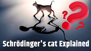 What is Schrodingers cat Schrödinger cat experiment explained in Hindi [upl. by Terrance38]