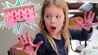 How to Make Edible Homemade Play Dough out of Peeps [upl. by Herbert793]