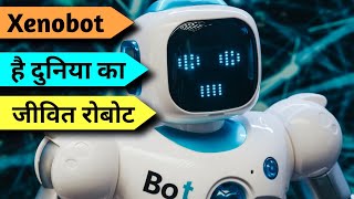 Xenobots हैं दुनिया के पहला जीवित रोबोट 🧐 [upl. by Ellenahc]