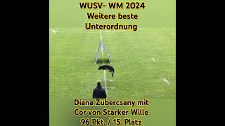 WUSV WM 2024 Diana Zubercsany mit Cor von Starker Wille [upl. by Oedama]