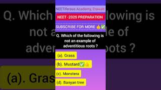 MCQ For NEET 2025 Preparation quickrevision neetaspirants ncertmcq neetiferousacademy etawah [upl. by Nnylesor257]