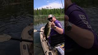 Backwater Kayak Bass Fishing nekorig kayakbassfishing creekbassfishing [upl. by Itsyrc]