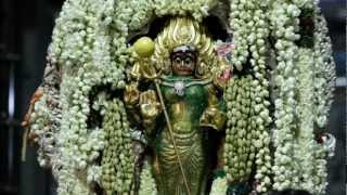 Manickanachi Amman Devotional Song  Manickamay Manickamay [upl. by Acalia]