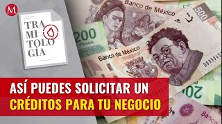 ¿Te urge dinero El gobierno de CdMx ofrece estos créditos para tu negocio [upl. by Aticilef671]