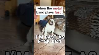 When the Metal band plays FAST techdeath metalmemes metal deathcoremusic metalhead [upl. by Nwahsel631]