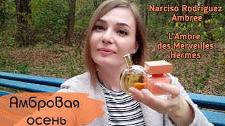 Влогобзор двух амбр☀️ Narciso Rodriguez Eau de Parfum Ambrée  LAmbre des Merveilles Hermes [upl. by Nivrac]