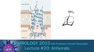 Virology 2015 Lecture 20 Antivirals [upl. by Burd]