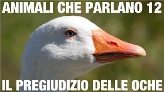 ANIMALI CHE PARLANO – Il pregiudizio delle oche [upl. by Perretta]