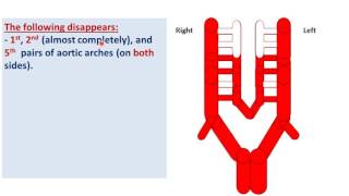 Embryology of the arteries  DrAhmed Farid [upl. by Blane768]