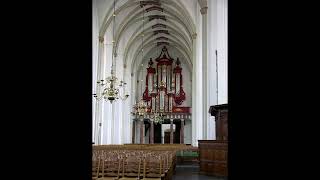 Bach quotO Mensch bewein dein Sünde grossquot BWV 622  Theo Teunissen [upl. by Sackville]