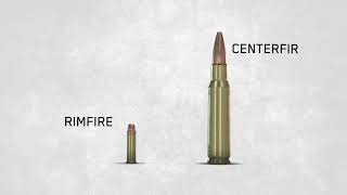 Ammo Basics Rimfire Versus Centerfire [upl. by Thesda884]