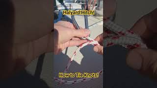 How to tie a Halyard Hitch sailing knottying knots boats halyardhitch howtotieknots [upl. by Hendricks]