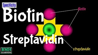 Biotin Streptavidin Labelling  BiotinStreptavidin Interaction [upl. by Lhamaj]