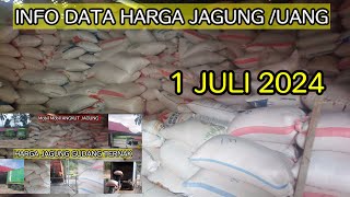 INFO DATA KEUANGAN HARGA JAGUNG 1 JULI 2024 [upl. by Nayarb]