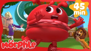 Morphles BBQ Mayhem NEW  Morphle Dinosaurs 🦕 Cartoons for Kids  Cartoon Compilation [upl. by Adon]